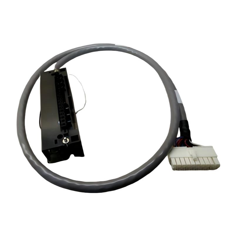 Honeywell 900RTC-L010	Cable