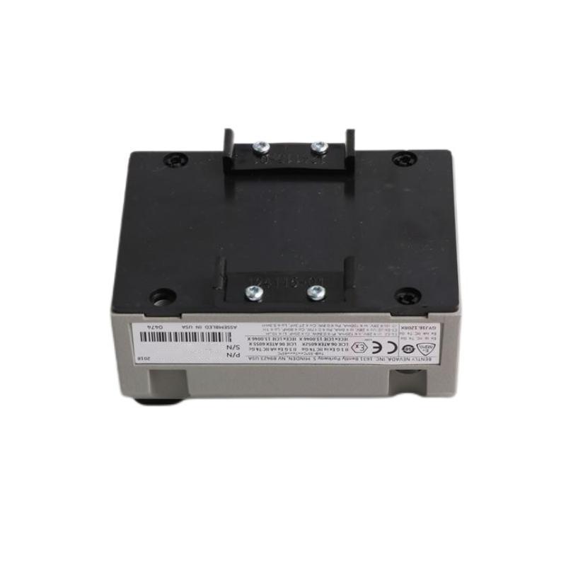 Bently Nevada 990-05-XX-01-RU Vibration Transmitter
