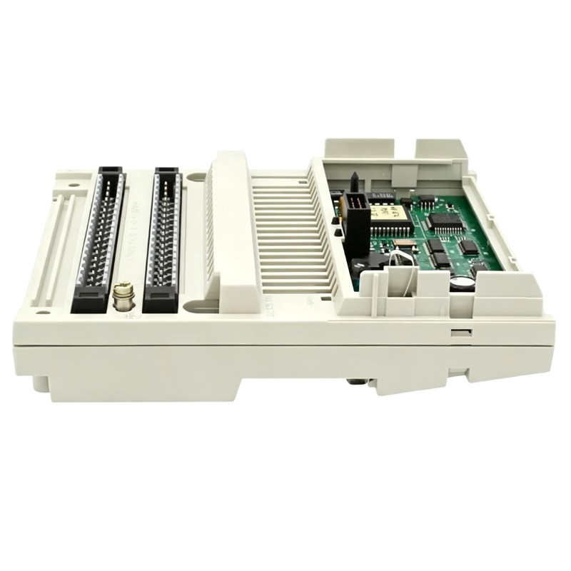 Schneider 170AAO92100 Analog Output Base