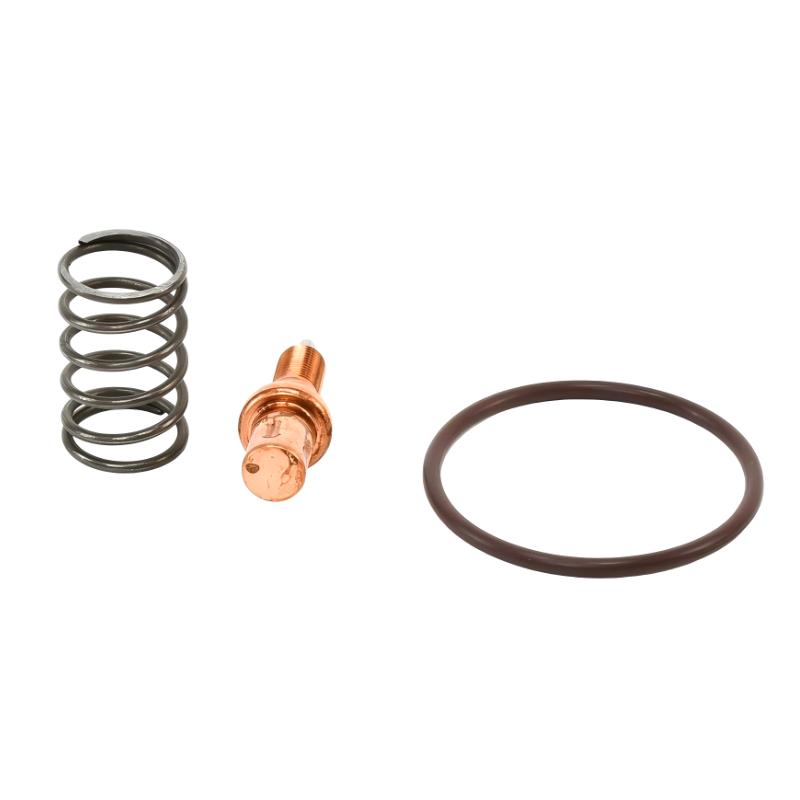 Ingersoll Rand 47704430001 47690563001 Temperature Control Valve Repair Kit