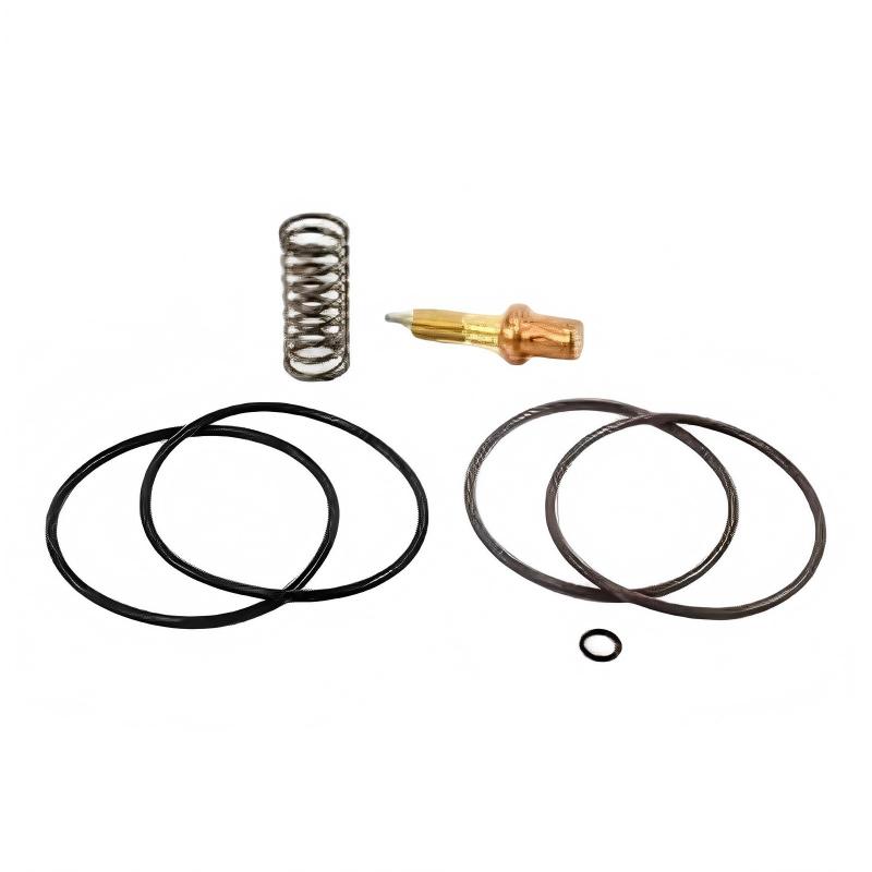 Ingersoll Rand 47704432001 47690563001 Temperature Control Valve Repair Kit