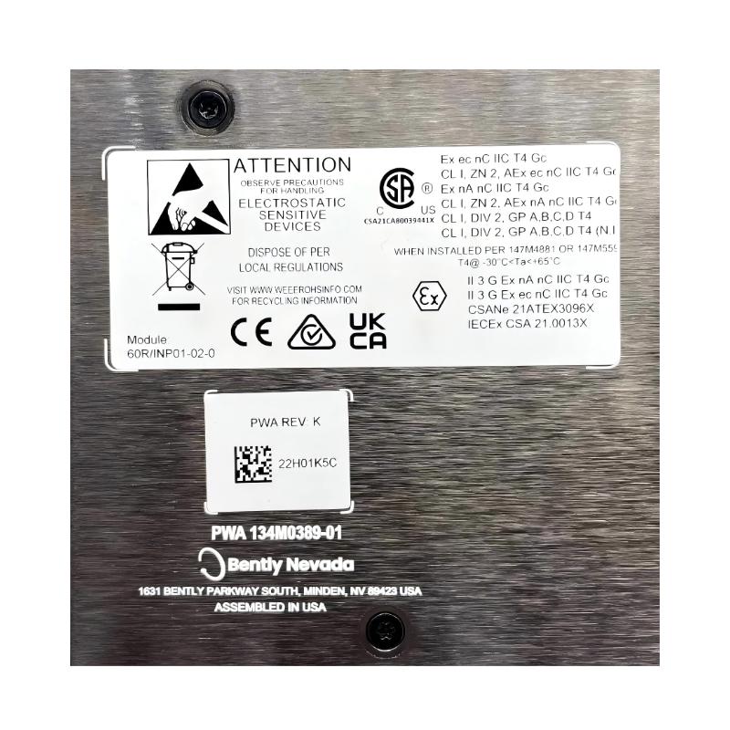 Bently Nevada 60R/INP01 Orbit 60 Series Dynamic Input Module