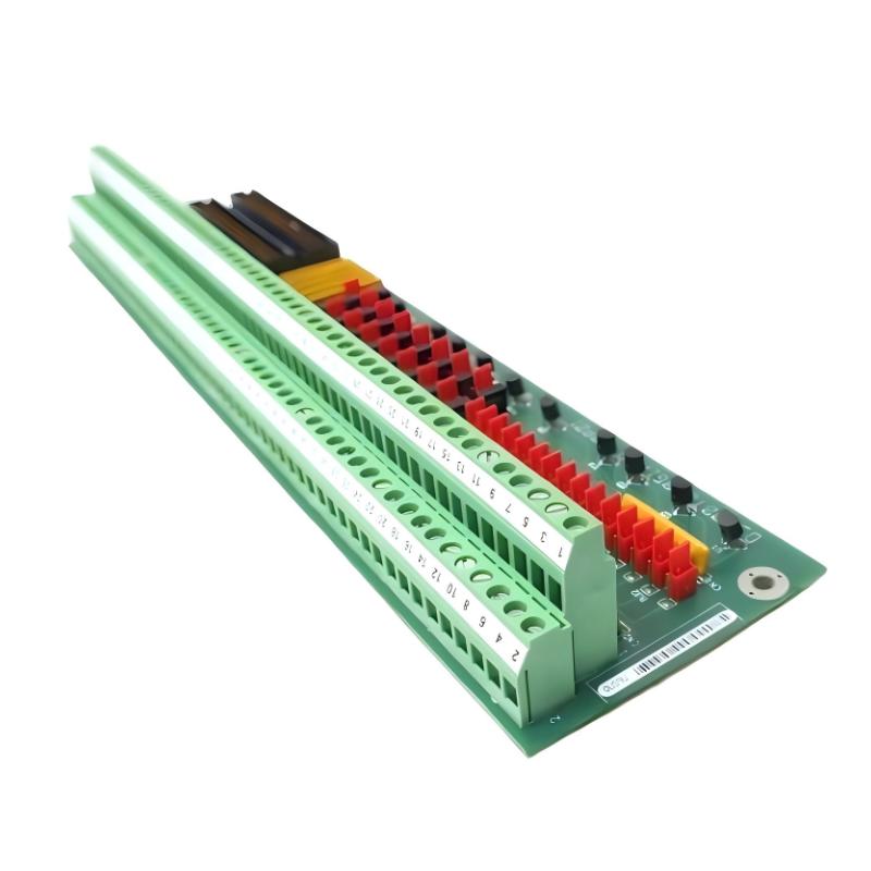 GE DS200TBCBG1AAA RTD Input Terminal Module