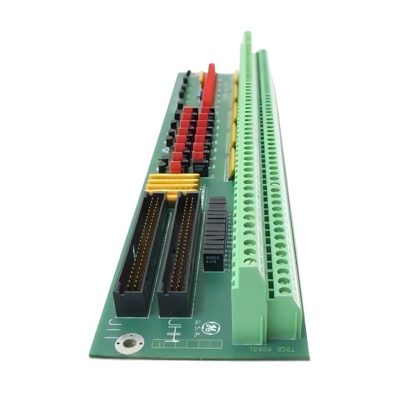 GE DS200TBCBG1AAA RTD Input Terminal Module