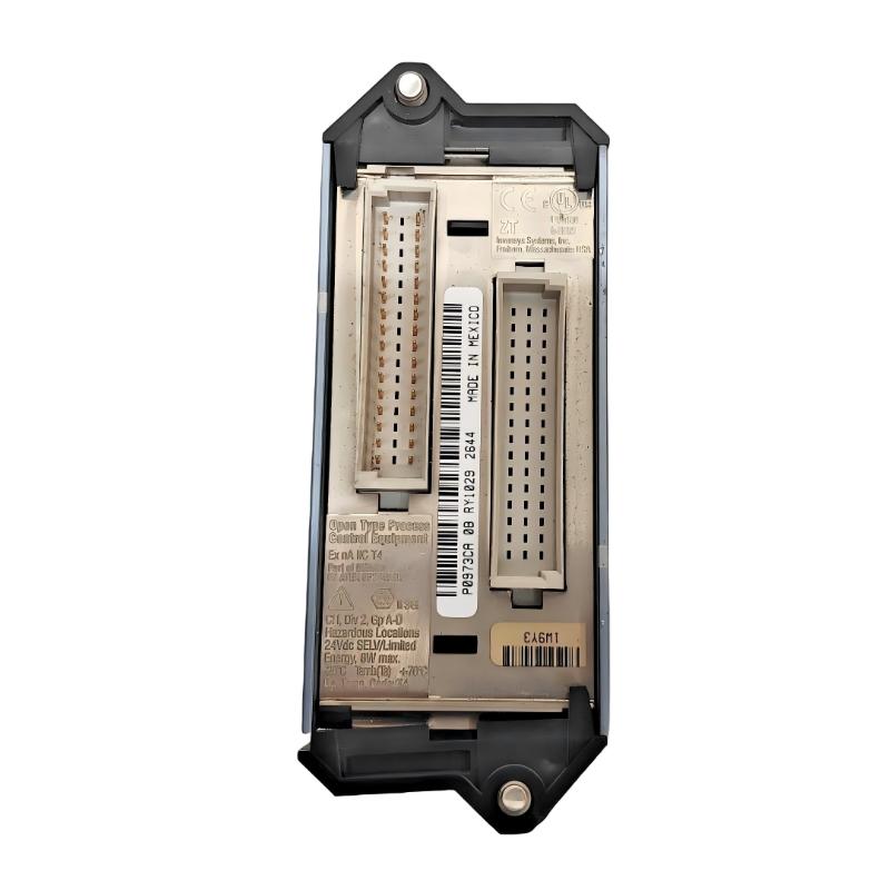 Foxboro FEM100 P0973CA Fieldbus Expansion Module