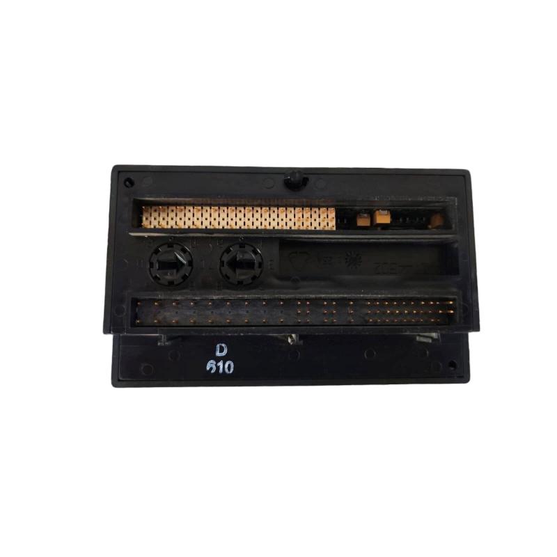 GE IC200ALG240 Analog Input Module