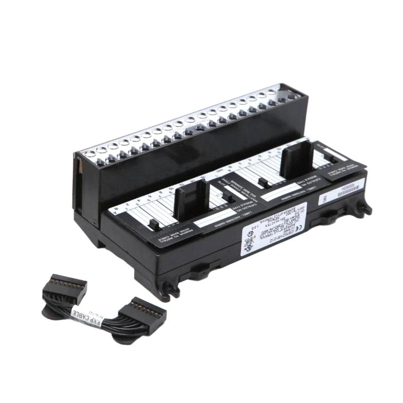 GE IC670CHS101 I/O Terminal Block