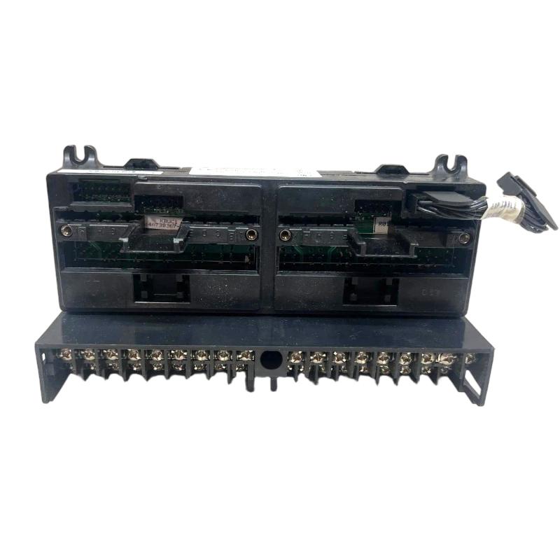 GE IC670CHS101 I/O Terminal Block