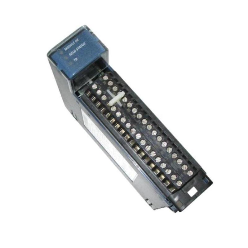 GE IC695ALG112 RX3i Analog Input Module