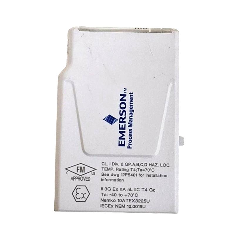 Emerson KL3031X1-BA1 RTD and Resistance Input CHARM (Characterization Module)