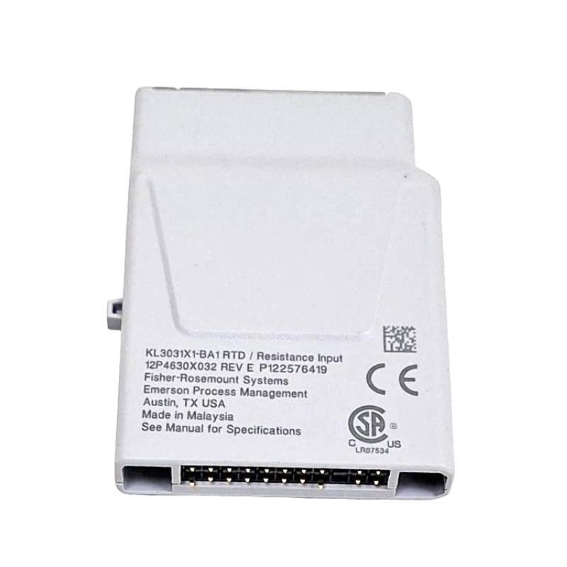 Emerson KL3031X1-BA1 RTD and Resistance Input CHARM (Characterization Module)