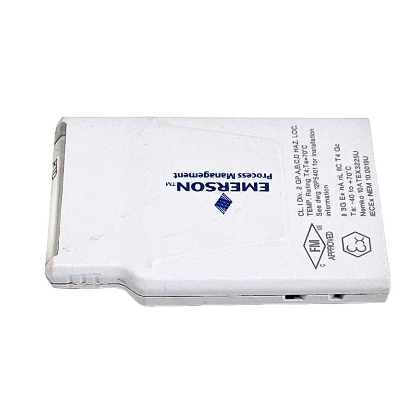 Emerson KL3031X1-BA1 RTD and Resistance Input CHARM (Characterization Module)