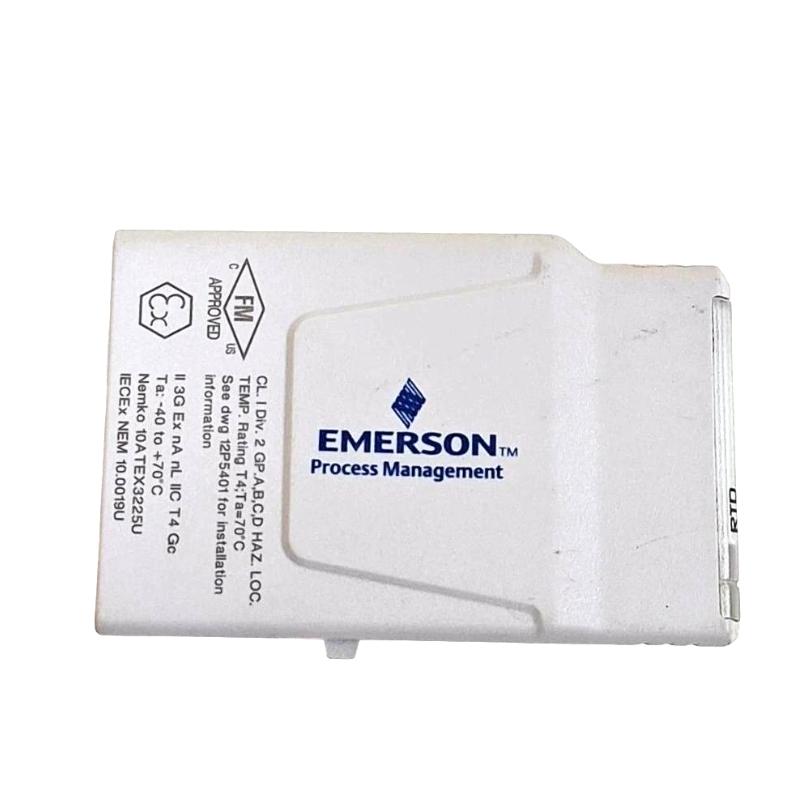 Emerson KL3031X1-BA1 RTD and Resistance Input CHARM (Characterization Module)