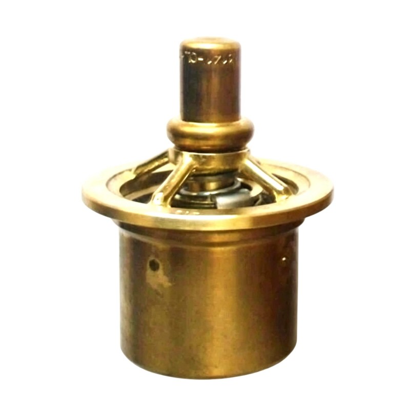 Ingersoll Rand 47642703001 37952389 Thermostatic Valve Kit
