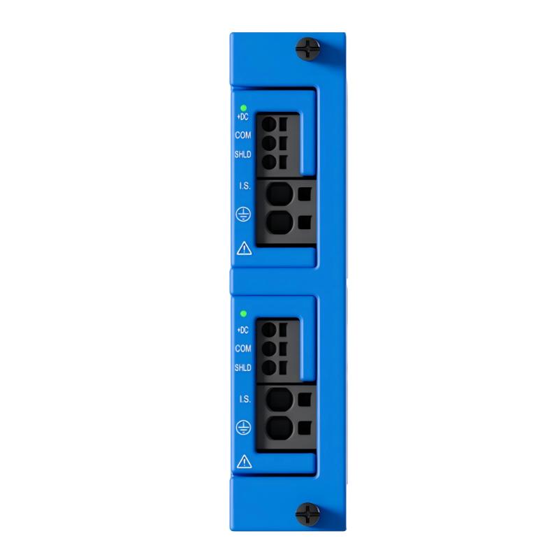 Bently Nevada 60R/PIM02-02-0 Orbit 60 Series Power Input Module