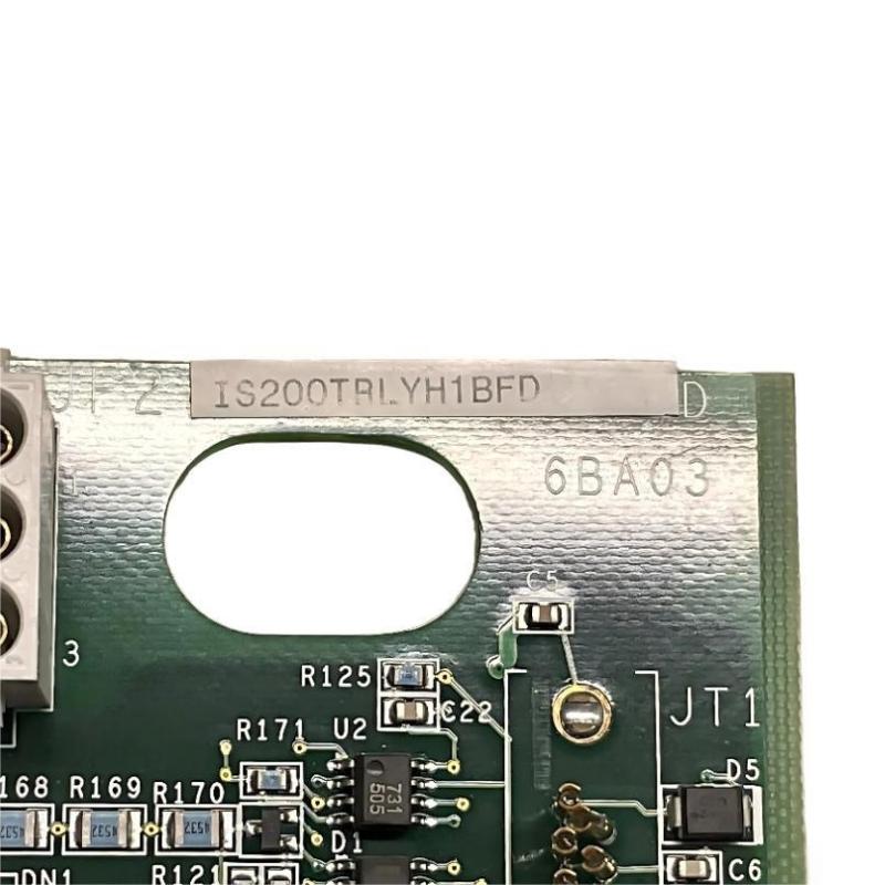 GE IS200TRLYH1BFD Relay Output Terminal Block