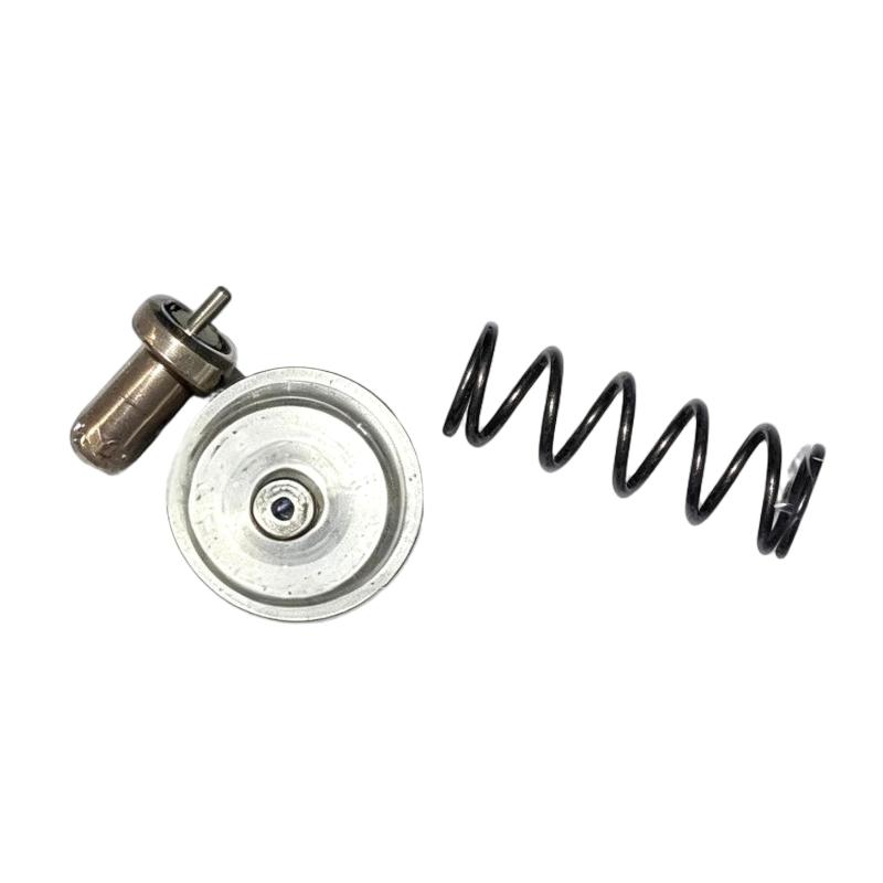 Ingersoll Rand 24509184 Valve Repair Kit