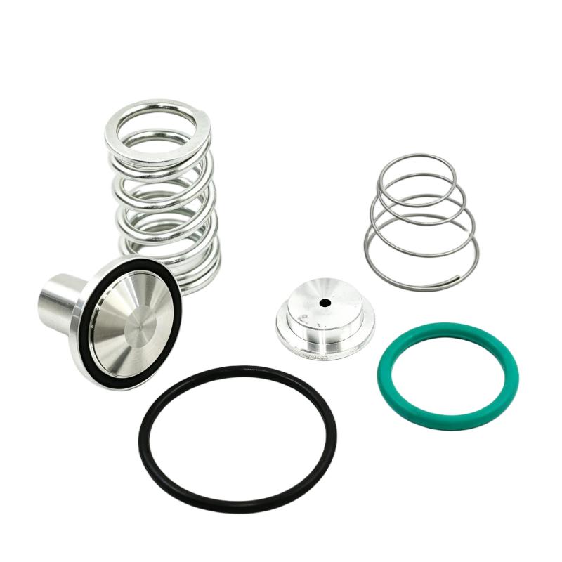 Ingersoll Rand 24509200 Minimum Pressure Check Valve Kit