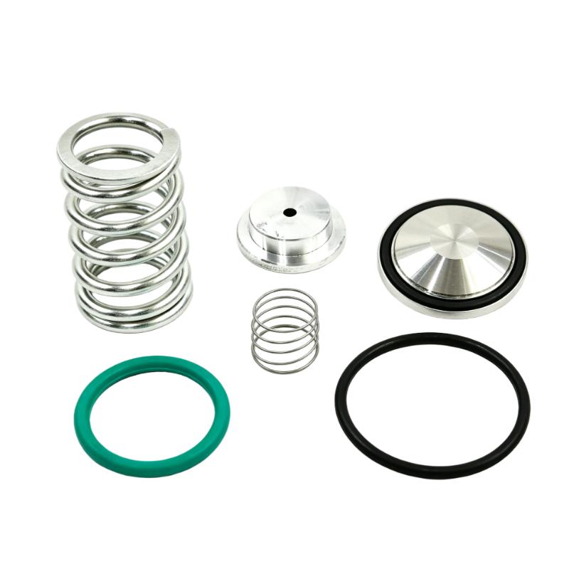 Ingersoll Rand 24509200 Minimum Pressure Check Valve Kit