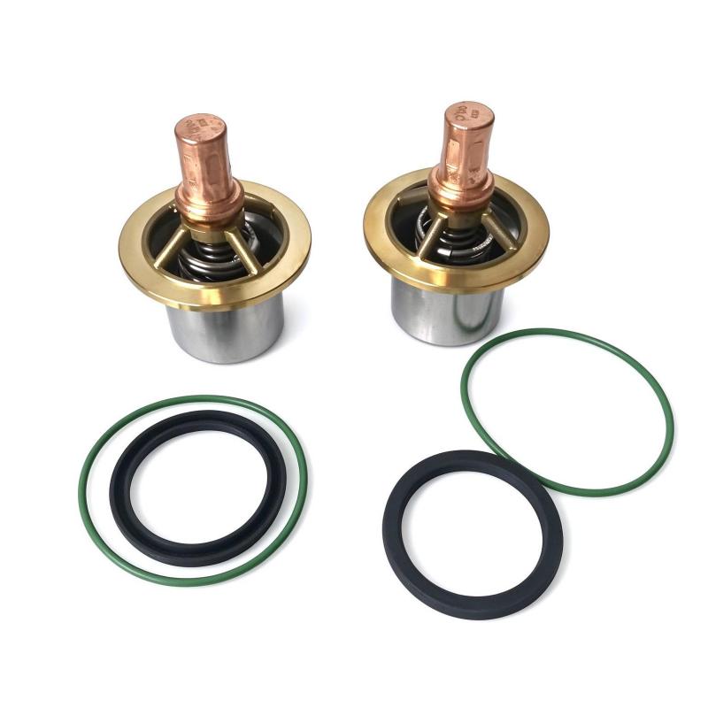 Ingersoll Rand 47572168001 47552954001 Thermostatic Valve Maintenance Kit