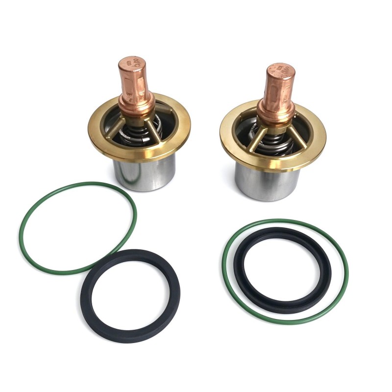 Ingersoll Rand 47572170001 47552954001 Service Kit Thermostatic Valve
