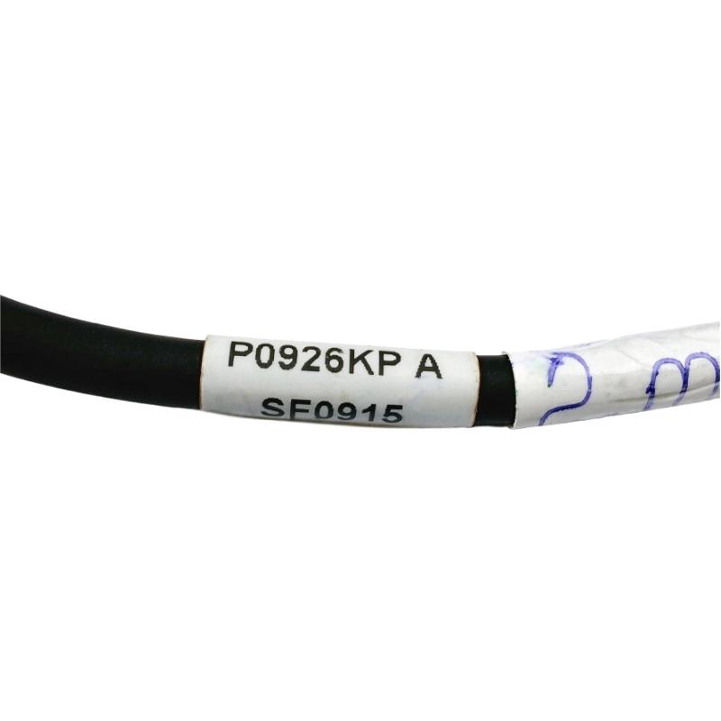 Foxboro P0926KP I/A Series Power Supply Output Cable
