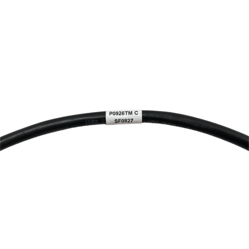 Foxboro P0926TM Standard 200 Series AC Input Power Cable
