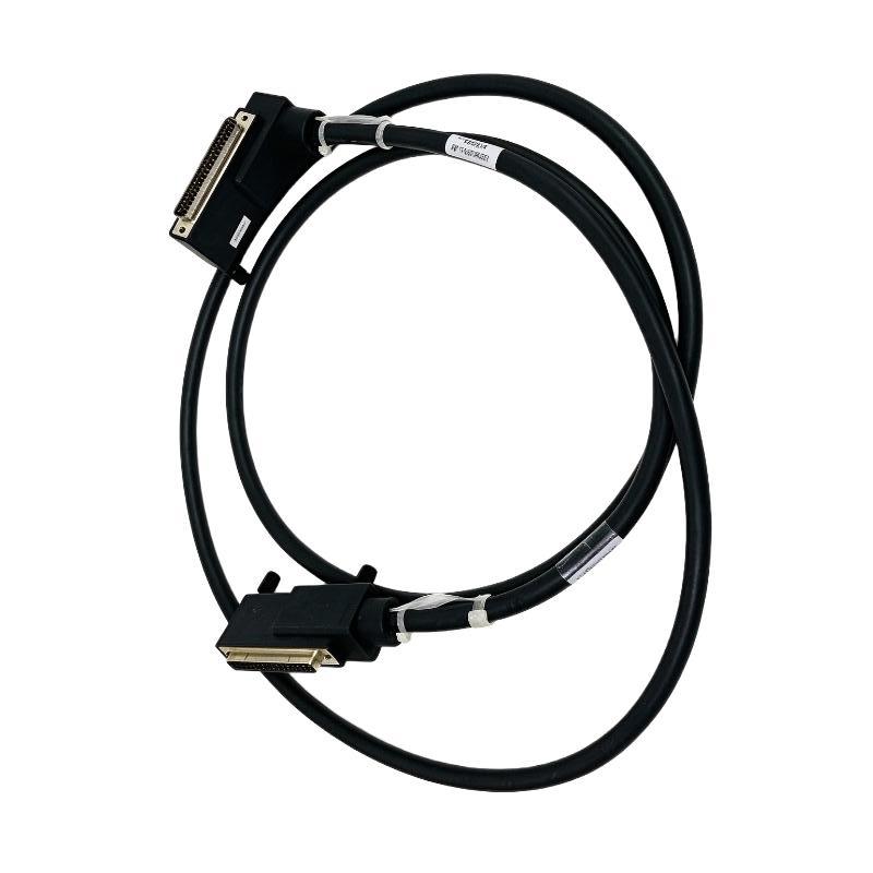 Foxboro RH100CL Cable