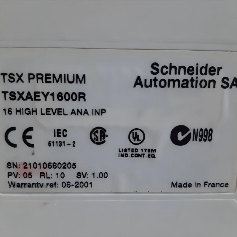 Schneider TSXAEY1600R Analog Input Module