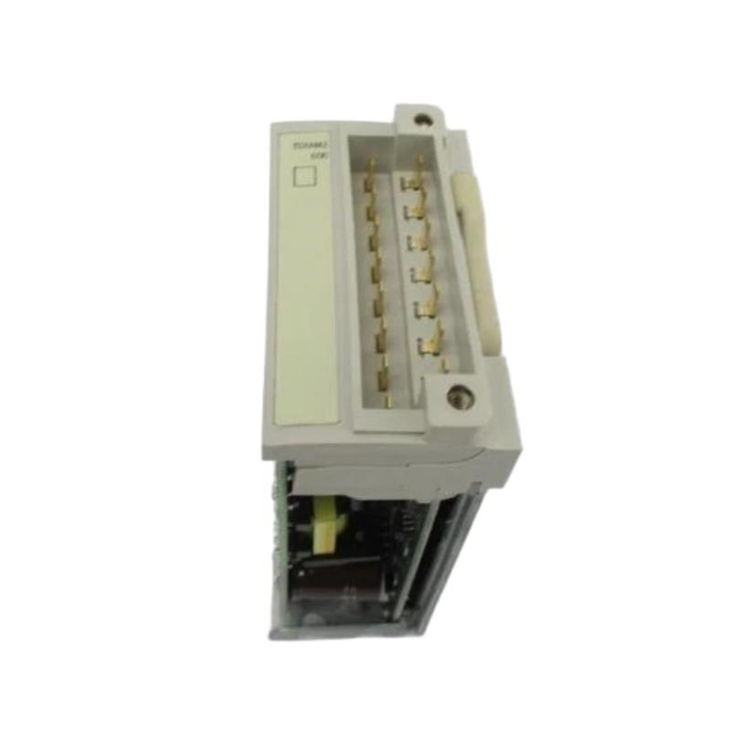 Schneider TSXAMZ600 Analog 4-Input/2-Output