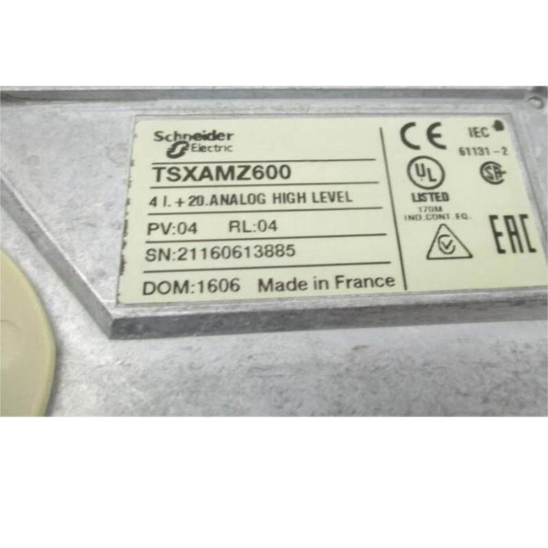 Schneider TSXAMZ600 Analog 4-Input/2-Output