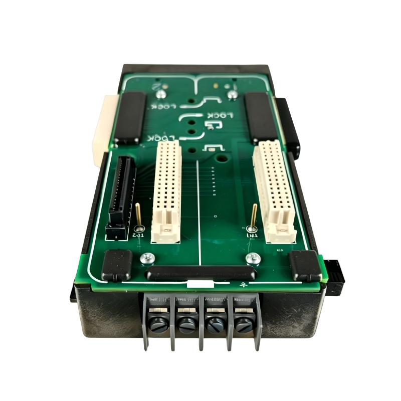 Emerson VE5056 DeltaV M-Series 2-Wide Power Carrier