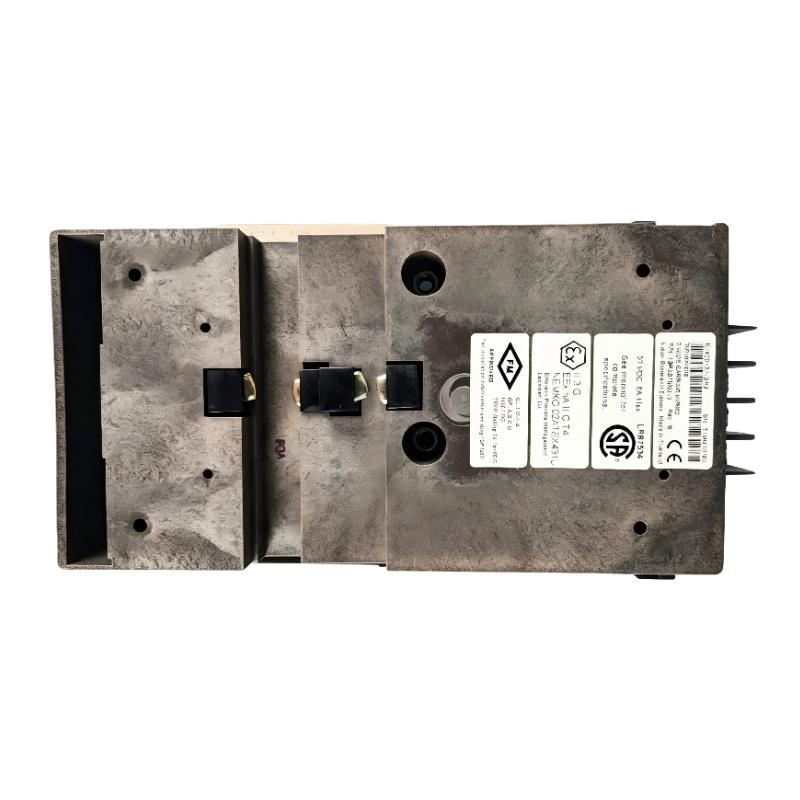 Emerson VE5056 DeltaV M-Series 2-Wide Power Carrier